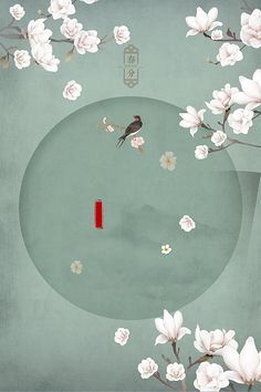 白虎一线天无极